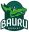 Bauru Baslet basquete