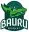 Bauru Baslet basquete