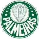 Palmeiras futebol basquete
