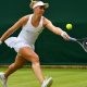Bia Haddad estreia nesta sexta no quali de New Haven