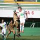 chapecoense e atlético-pr