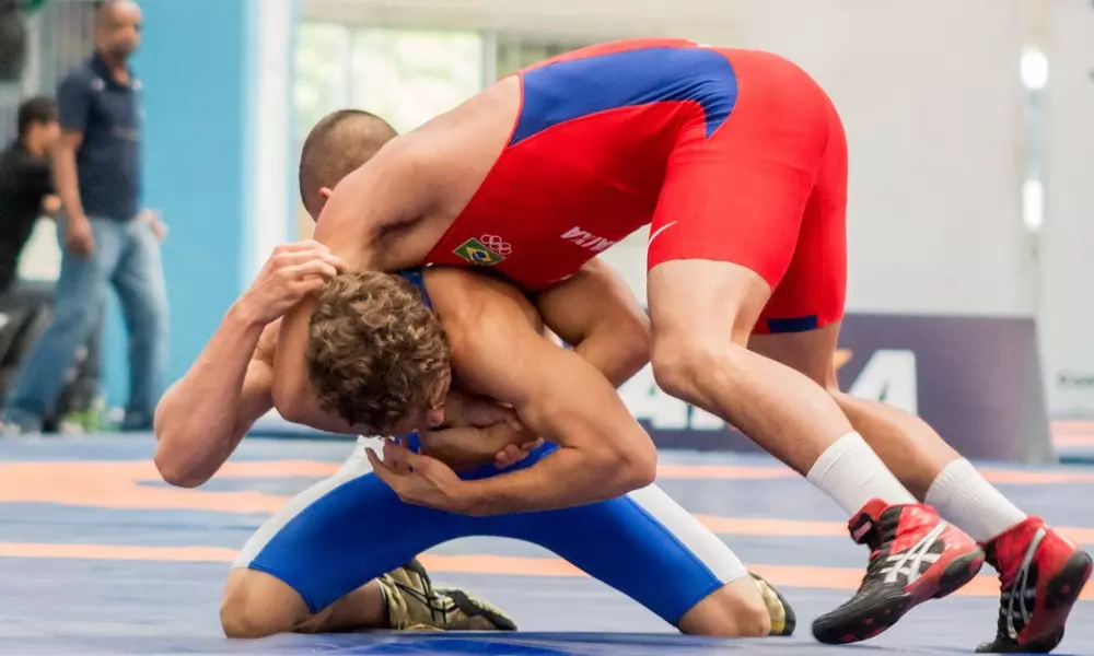 mundial sênior de wrestling
