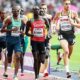 800m masculino jogos olímpicos tóquio 2020