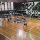 taça ouro de vôlei