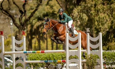Hipismo brasileiro estreia com força total no Sul-Americano.