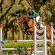 Hipismo brasileiro estreia com força total no Sul-Americano.
