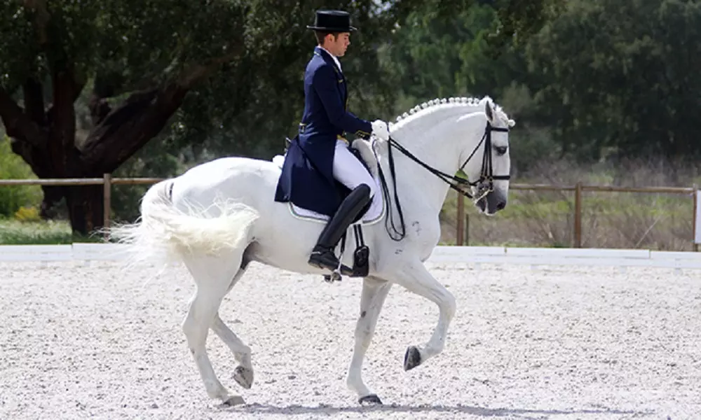 Com nova montaria, João Victor Oliva é campeão em Portugal