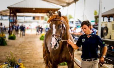 Brasileiros buscam medalha e vaga olímpica nos Jogos Equestres