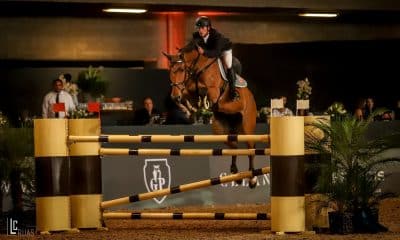 Cavaleiro olímpico Pedro Veniss estreia no Indoor 2018