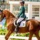 Ilustração Rodolpho Riskalla é prata nos Jogos Equestres Mundiais