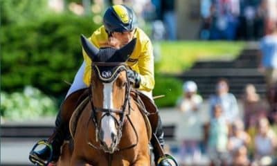Yuri Mansur Hipismo