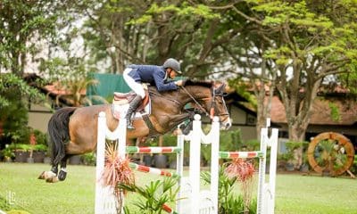 Marcello Ciavaglia conquista o título brasileiro senior