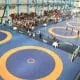 wrestling