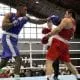 Brasileiro de Boxe