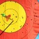Federação de tiro com arco promove torneio remoto e online durante quarentena