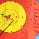 Federação de tiro com arco promove torneio remoto e online durante quarentena