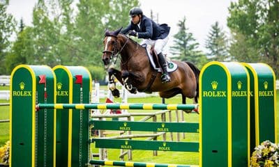 Luiz Francisco de Azevedo vai aos Jogos Pan-Americanos no hipismo