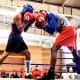 Seleção brasileira de Boxe treina para os Jogos Pan-Americanos