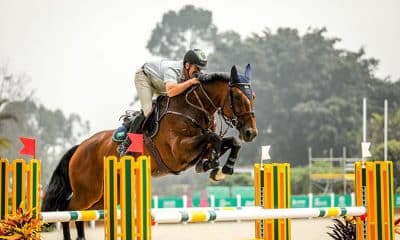 Coronavírus afeta competições no hipismo e no tiro esportivo