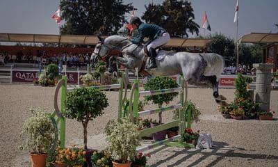 Bernardo Alves e El Torreo, hipismo