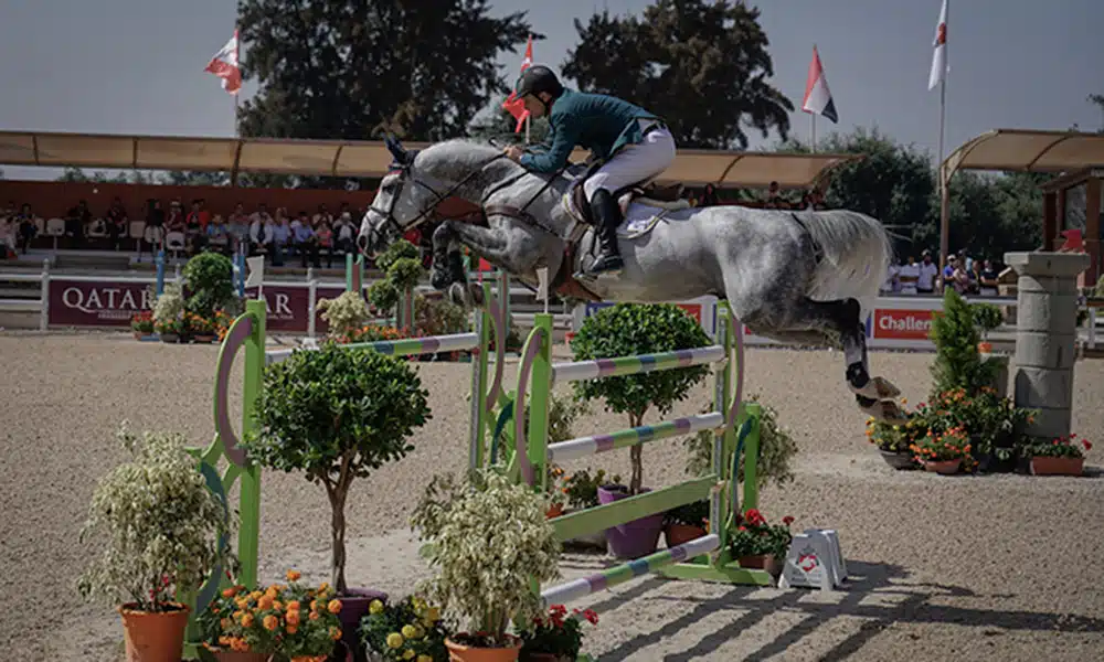 Bernardo Alves e El Torreo, hipismo