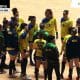 Mundial de Handebol feminino