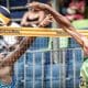 Etapa de João Pessoa de vôlei de praia