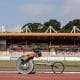 Eventos, como de atletismo, no Centro Paralímpico Brasileiro