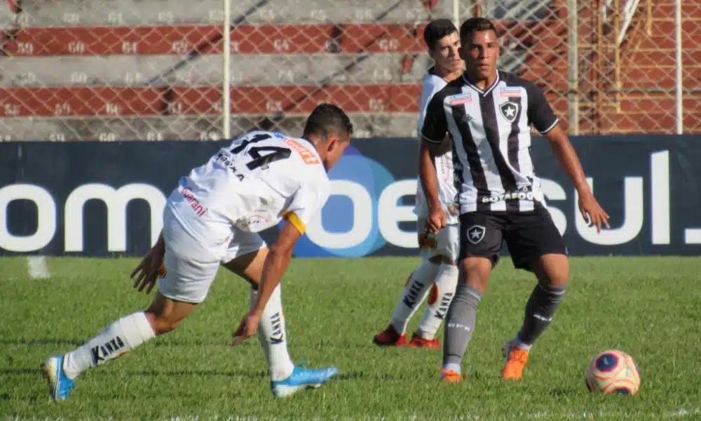 Botafogo enfrenta Noroeste pela Copa São Paulo - Foto: Divulgação