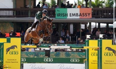 Rodrigo Lambre e Catover a caminho da vitória - salto - hipismo brasil