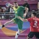 seleção brasileira brasil handebol pré-olímpico mundial tóquio 2020 adiamento jogos pan-americanos lima