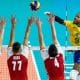 Leal Seleção Brasileira Brasil
