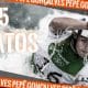 Pepê Gonçalves, da canoagem slalom, durante a participação na Rio 2016 (Arte #5fatos: Caio Poltronieri)