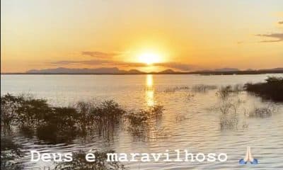 Petrúcio Ferreira corre com cachorros em belos cenários no interior