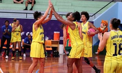 Encontro Internacional Virtual - Basquete - Santo André