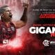 Rafael Hettsheimeir no Flamengo