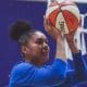 Damiris Basquete WNBA Minnesota Lynx