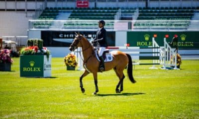 Luiz Francisco de Azevedo Cavaleiro Brasileiro Tryon