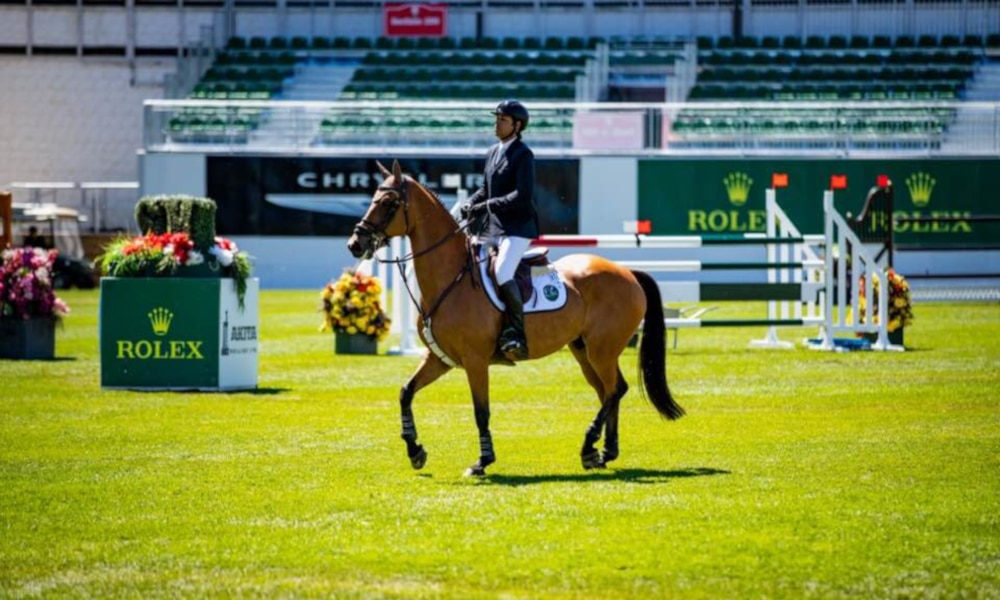Luiz Francisco de Azevedo Cavaleiro Brasileiro Tryon