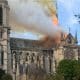 Catedral de Notre-Dame - Paris-2024
