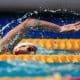 Copa do Mundo de Natação 2021 - FINA