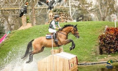 Rafael Losano Hipismo CCE 0 Jogos Olímpicos de Tóquio 2020 - Olimpíada