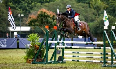 Sociedade Hípica Paulista Campeonato Brasileiro de Masters 8ª Etapa Ranking de Salto 2020