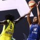 Damiris Minnesota Lynx WNBA