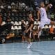 Guilherme Linhares Brasileiros