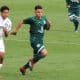Brasileiro Sub-20 Palmeiras x Goiás