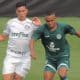 Palmeiras Brasileiro Sub-20 Sport