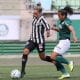 Palmeiras x Santos Brasileiro Feminino Internacional Grêmio Avaí Kindermann Ponte Preta