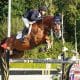 Marlon Zanotelli campeão 5 estrelas holanda salto