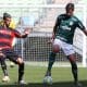 Palmeiras x Vitória - Brasileiro Sub-20 de futebol